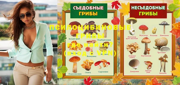 винт Балахна
